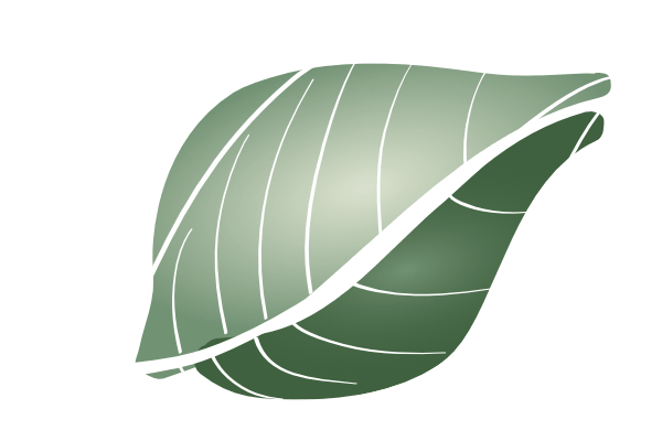 leaf white 2